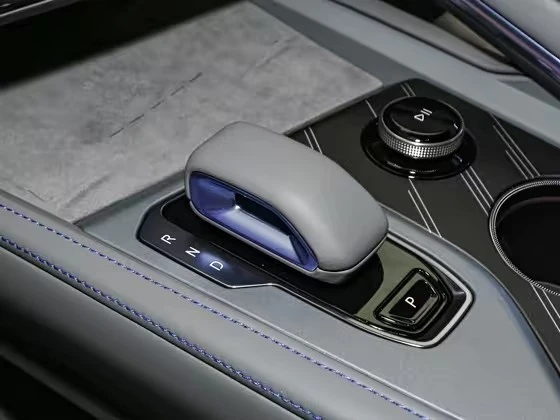 001 2025 WE Version 95kWh Four-wheel Drive price